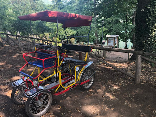 affitto bici Risciò