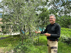 Photo n°3 de Marcille Oliveraie à Bendejun (Magasin)