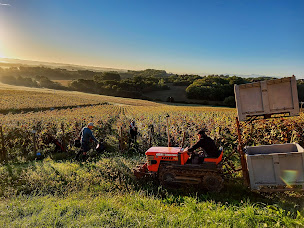 Photo n°7 de SAS FAMILLE LAPLACE à Aydie (Vignoble)