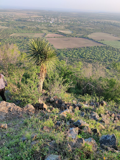 Cerro de Burgos - Thumbnail