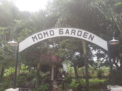 Photos of Momo Garden