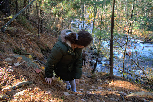 North River Outfitters - Thumbnail