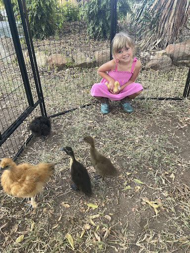 Micro Ranch Petting Zoo - Thumbnail