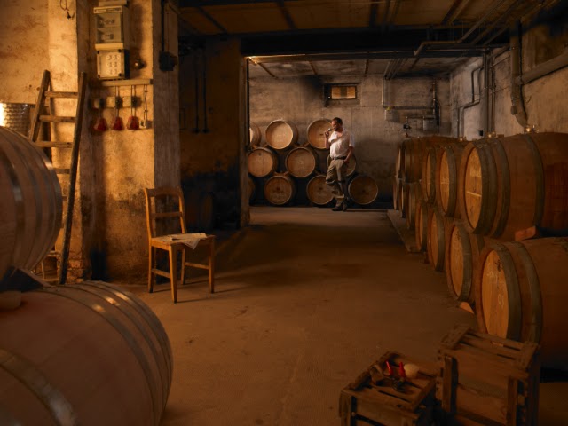 Weingut Siener, Inh. Peter Siener