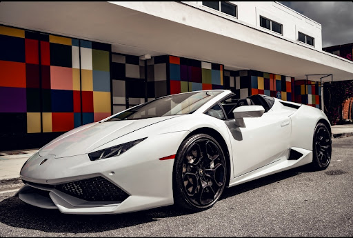 SOBE Exotic Rental