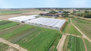 Photo n°2 de Ferme Trubuil à Saclay (Grossiste en fruits et légumes)