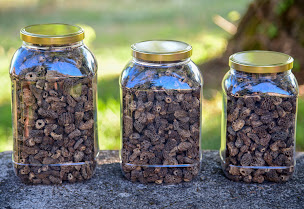 Photo n°4 de ANDESOL à Vergt (Fournisseur de produits alimentaires)