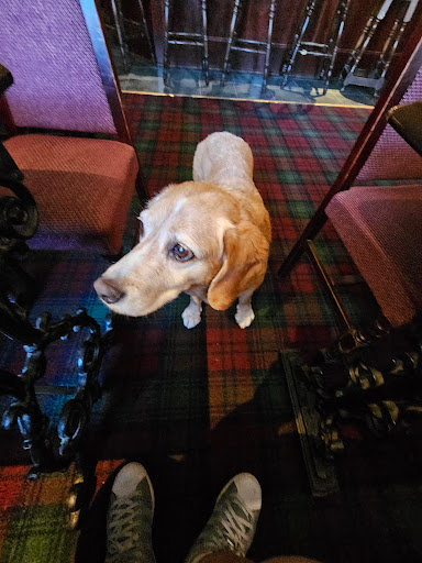 The Maybole Arms - Thumbnail