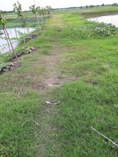 Photos of Birampur, Sultanpur, Brahmanbaria.