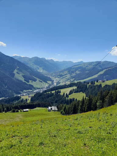 ROYAL TAXI SAALBACH - Thumbnail