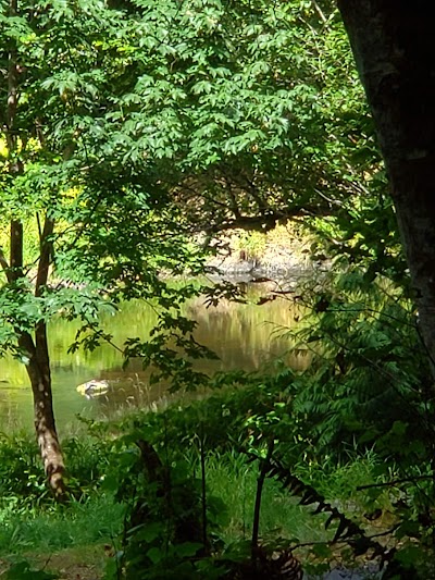 Henry Rierson Spruce Run Campground