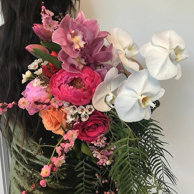 beautiflora @ Habitat Byron Bay