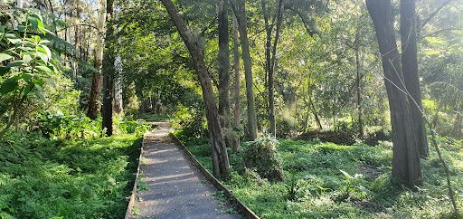 Sir Phillip Game Reserve South - Thumbnail