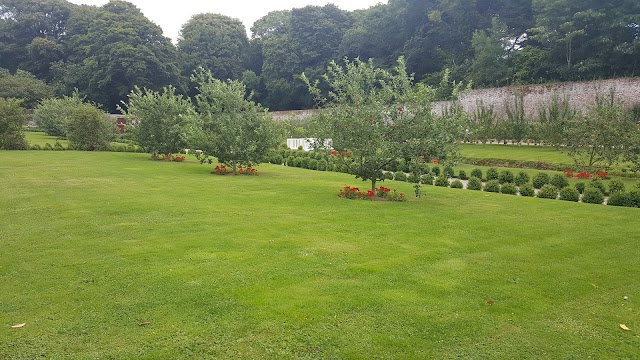 Tintern Abbey