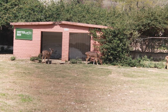 Islamabad Zoo, Author: Kamran Durrani