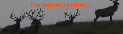 Pine Mountain Outfitters