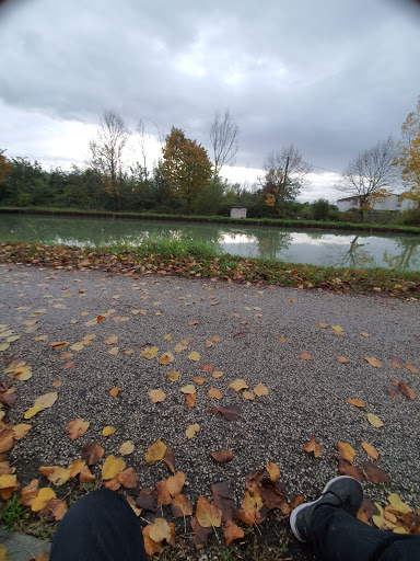 University Bordeaux Campus Des Abatoires - Thumbnail
