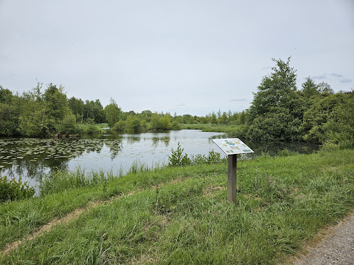 Photo de Randonnées dans les Marais de Long, Longpré-les-Corps-Saints à Longpré-les-Corps-Saints (80510)