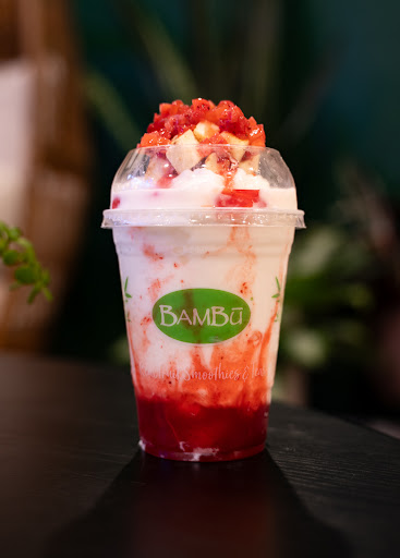 Bambu RVA - Visual