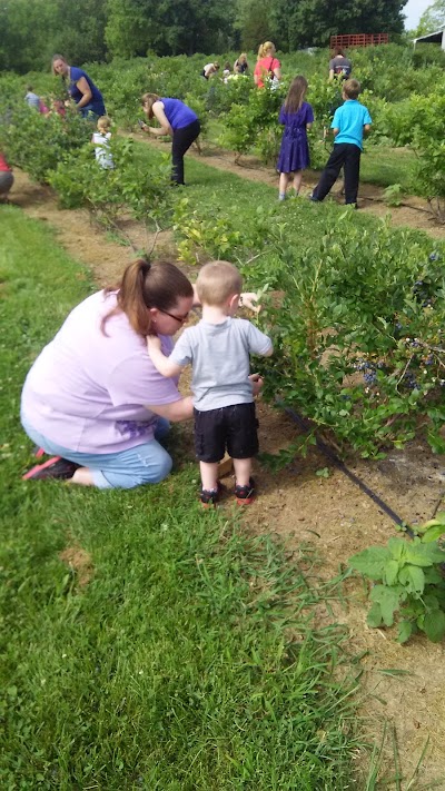 Photos of Litton's Produce and Berries