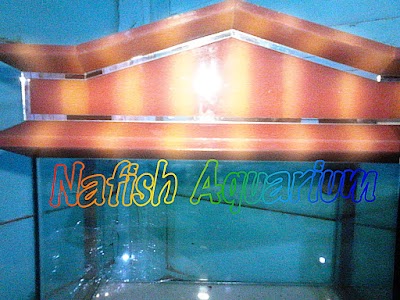 Photos of Nafish Aquarium