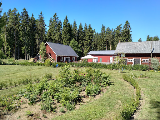 Stensholms Trädgård AB Gallery - Sweden