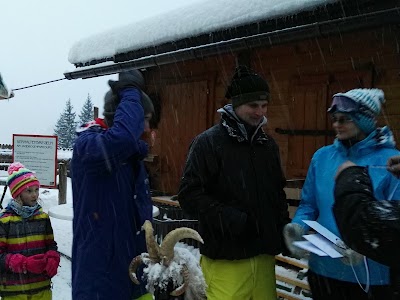 Photos of Hunting archery course Bad Gastein