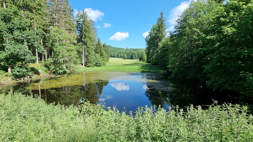 Helltalsteich - Visual