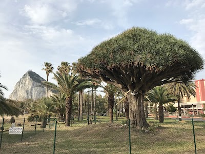 Photos of Drago Del Parque
