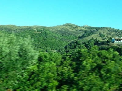 Photos of Punta Camorro