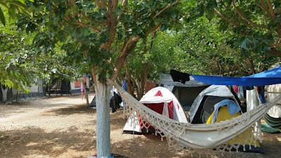 photo of camping Zaritsi