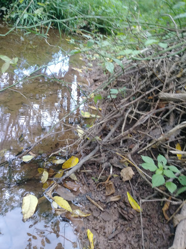 Chestnut Grove Park - Thumbnail