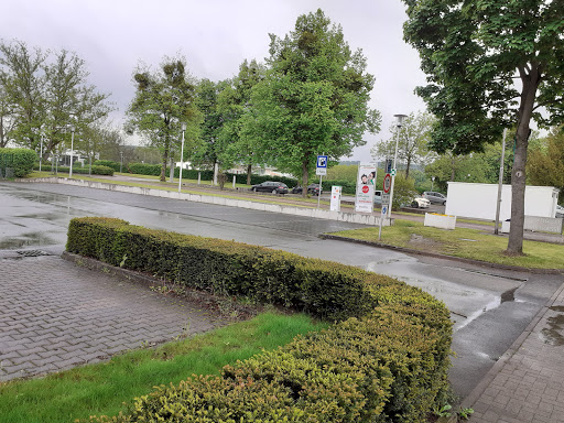 Parkplatz 6 Pyrmont - Thumbnail