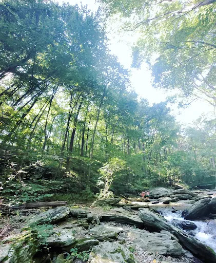 Theodore A. Parker III Natural Area Lower Parking Lot Gallery - United States