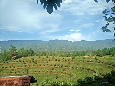 Photos of BALITBU TROPIKA