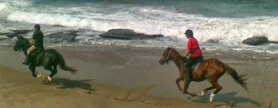 Photos of Horseback Beach Adventures