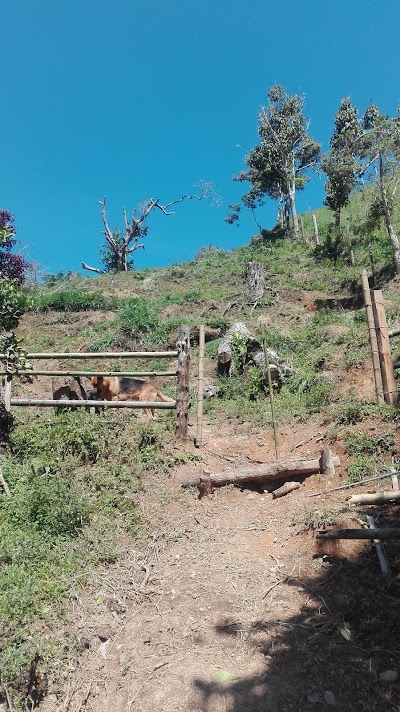 Photos of Finca Manantial-alban Valle