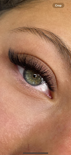 Just Lash It - Visual