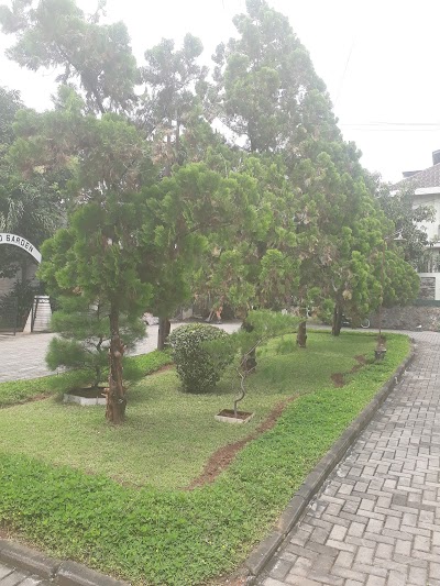 Photos of Momo Garden