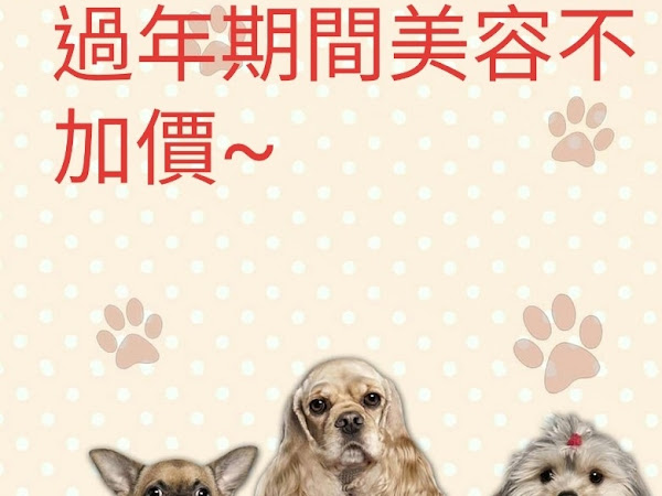 貝絲犬の美容室