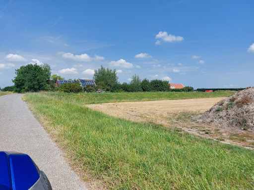 BugRacer.nl - Visual