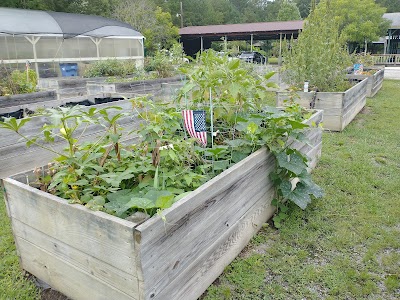 Cane Creek Community Gardens