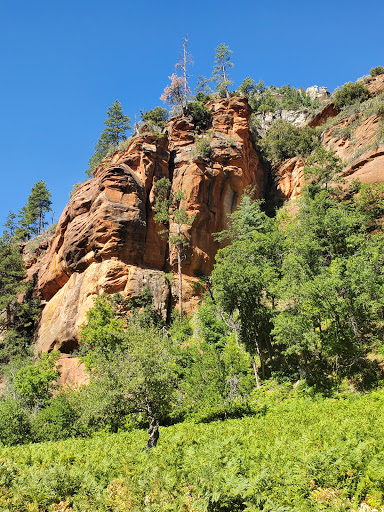Call of the Canyon Picnic Site - Thumbnail