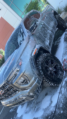 Royal palms detailing