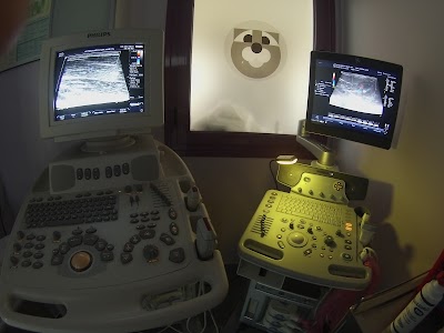 Photos of VETERINARY CLINIC SAN MARTIN