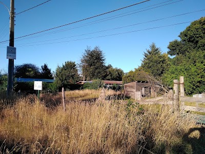 Photos of Alto Villarica Resort