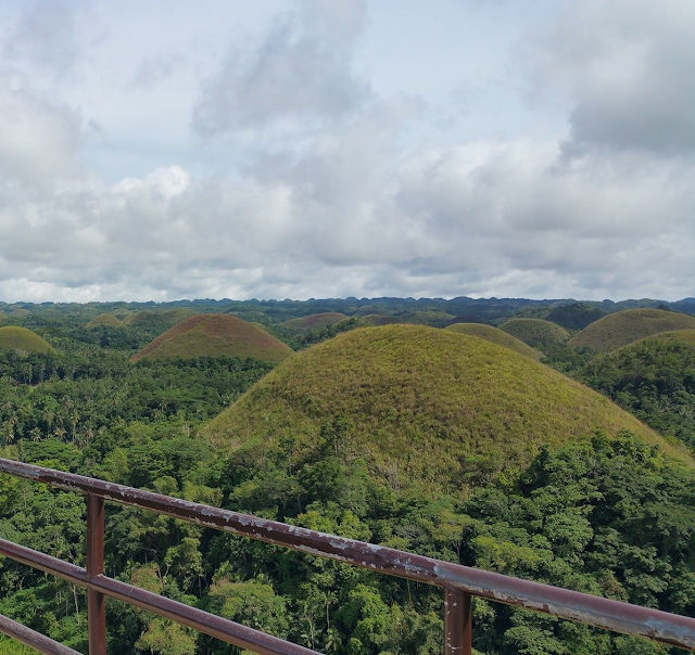 Chocolate Hills Travel & Tours