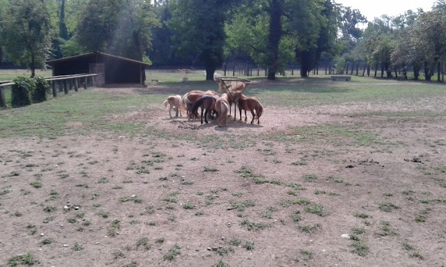 Parco della Preistoria