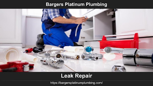 Bargers Platinum Plumbing - Plumbing Contractor, Leak Detection, Water Leak Repair in Billings MT Gallery - United States