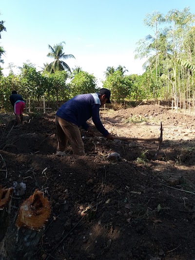 Photos of VIcks Homestay